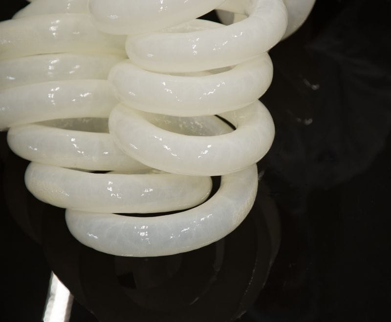 Natural beef caps, washed and coiled