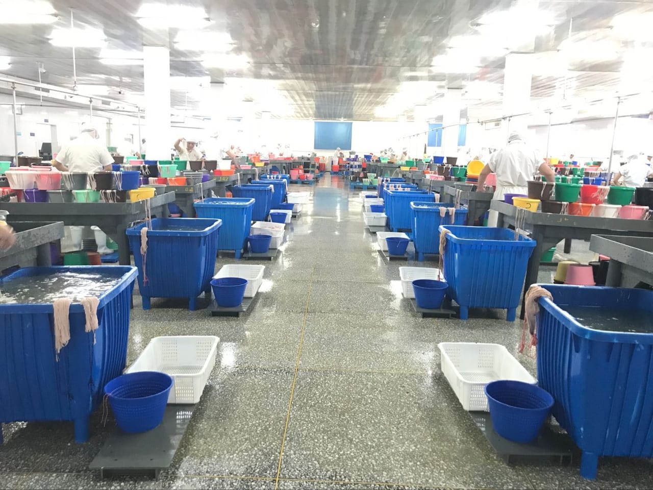 Selection hall in China with rows of blue bins and running water